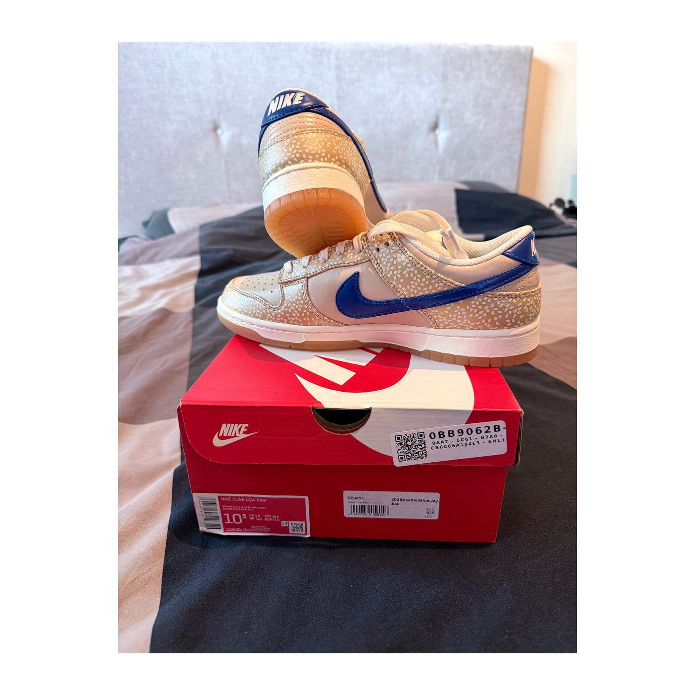 Dunk Low Montreal Bagel